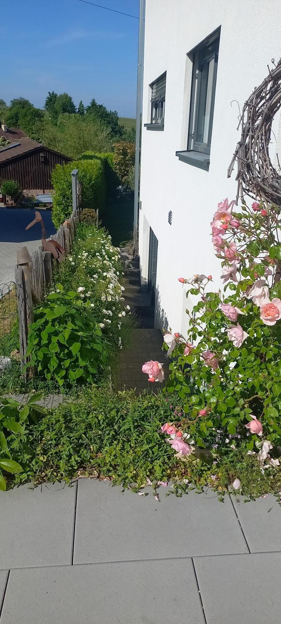 Ferienwohnung Rebgaertle Britzingen Kültér fotó