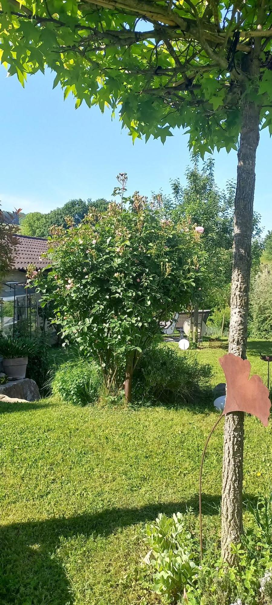 Ferienwohnung Rebgaertle Britzingen Kültér fotó